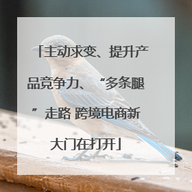主动求变、提升产品竞争力、“多条腿”走路 跨境电商新大门在打开