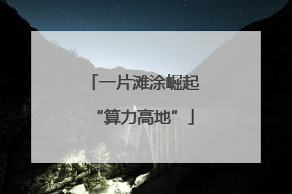 一片滩涂崛起“算力高地”
