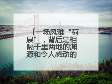 一场风雅“荷展”，背后是相隔千里两地的渊源和令人感动的历史人文情怀