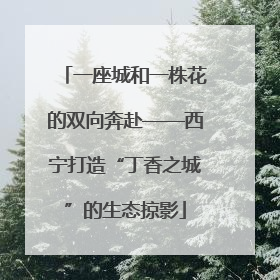 一座城和一株花的双向奔赴——西宁打造“丁香之城”的生态掠影