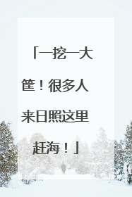一挖一大筐！很多人来日照这里赶海！