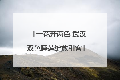 一花开两色 武汉双色睡莲绽放引客