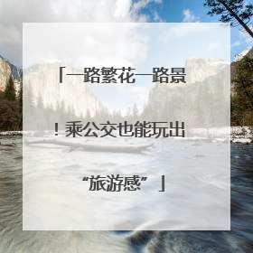 一路繁花一路景！乘公交也能玩出“旅游感”