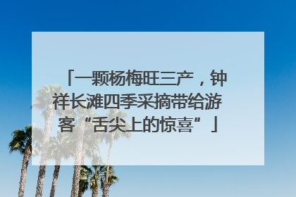 一颗杨梅旺三产，钟祥长滩四季采摘带给游客“舌尖上的惊喜”