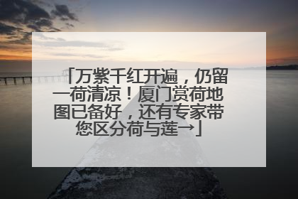 万紫千红开遍，仍留一荷清凉！厦门赏荷地图已备好，还有专家带您区分荷与莲→