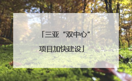 三亚“双中心”项目加快建设