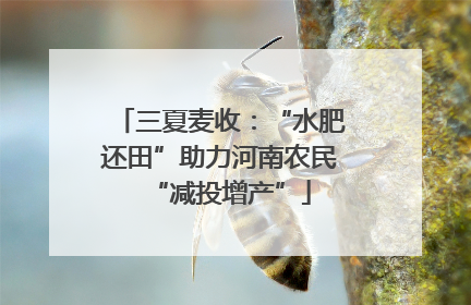 三夏麦收：“水肥还田”助力河南农民“减投增产”