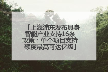 上海浦东发布具身智能产业支持16条政策：单个项目支持额度最高可达亿级