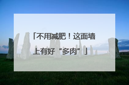不用减肥！这面墙上有好“多肉”