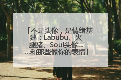 不是头像，是情绪基建：Labubu、火腿猪、Soul头像……和那些像你的表情