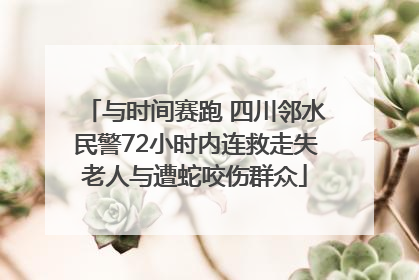 与时间赛跑 四川邻水民警72小时内连救走失老人与遭蛇咬伤群众