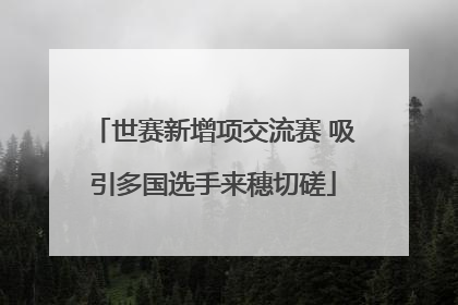 世赛新增项交流赛 吸引多国选手来穗切磋