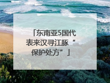 东南亚5国代表来汉寻江豚“保护处方”