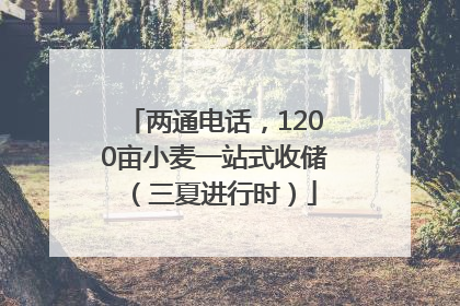 两通电话，1200亩小麦一站式收储（三夏进行时）