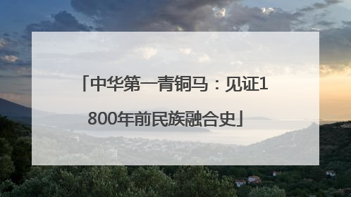 中华第一青铜马：见证1800年前民族融合史