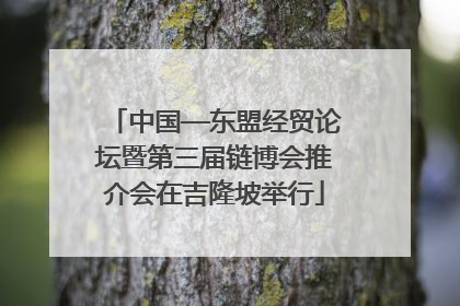 中国—东盟经贸论坛暨第三届链博会推介会在吉隆坡举行