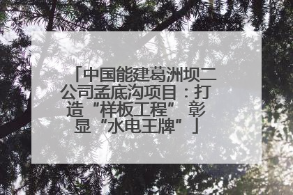 中国能建葛洲坝二公司孟底沟项目：打造“样板工程” 彰显“水电王牌”