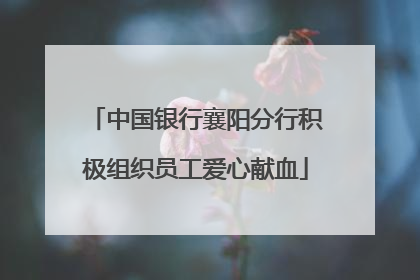 中国银行襄阳分行积极组织员工爱心献血