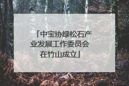 中宝协绿松石产业发展工作委员会在竹山成立