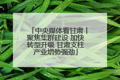 中央媒体看甘肃丨聚焦集群建设 加快转型升级 甘肃支柱产业增势强劲
