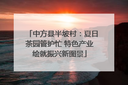 中方县半坡村：夏日茶园管护忙 特色产业绘就振兴新图景