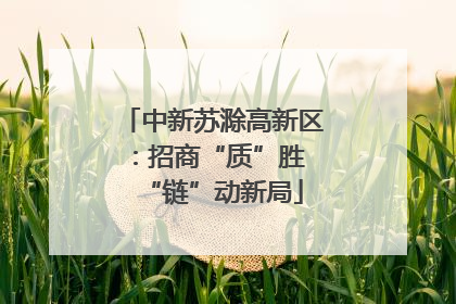 中新苏滁高新区：招商“质”胜 “链”动新局