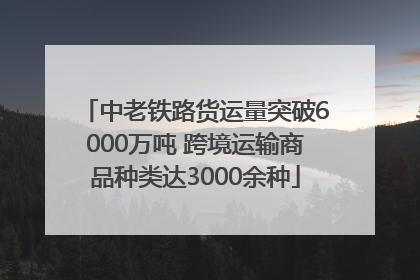中老铁路货运量突破6000万吨 跨境运输商品种类达3000余种