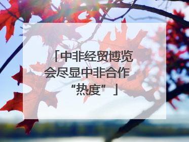 中非经贸博览会尽显中非合作“热度”