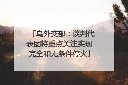 乌外交部：谈判代表团将重点关注实现完全和无条件停火
