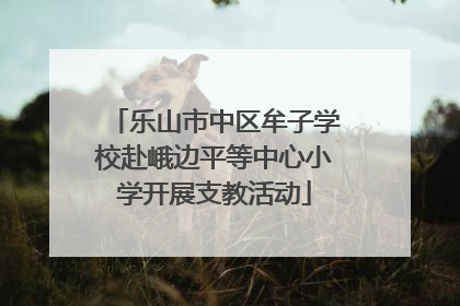 乐山市中区牟子学校赴峨边平等中心小学开展支教活动