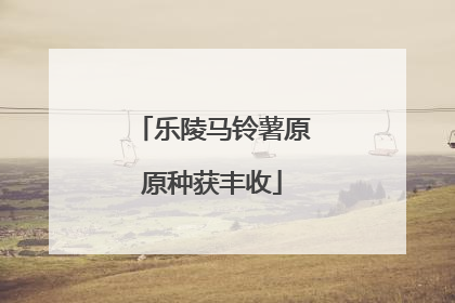 乐陵马铃薯原原种获丰收