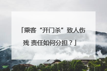 乘客“开门杀”致人伤残 责任如何分担？