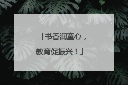 书香润童心，教育促振兴！
