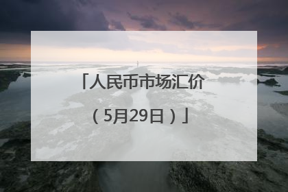 人民币市场汇价（5月29日）