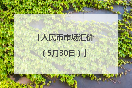 人民币市场汇价（5月30日）