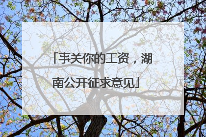 事关你的工资，湖南公开征求意见