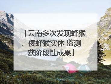 云南多次发现蜂猴、倭蜂猴实体 监测获阶段性成果