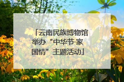 云南民族博物馆举办“中华节·家国情”主题活动