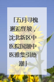 五月寻槐邂逅怪坡，沈北新区中医院国潮中医雅集引热潮