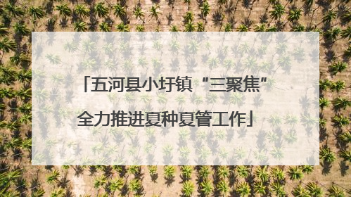 五河县小圩镇“三聚焦”全力推进夏种夏管工作