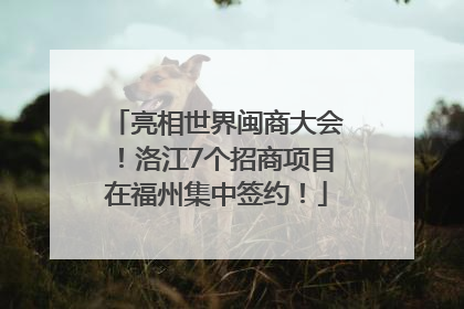 亮相世界闽商大会！洛江7个招商项目在福州集中签约！