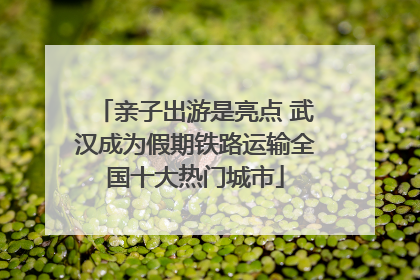 亲子出游是亮点 武汉成为假期铁路运输全国十大热门城市