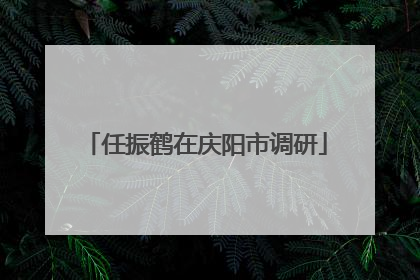 任振鹤在庆阳市调研
