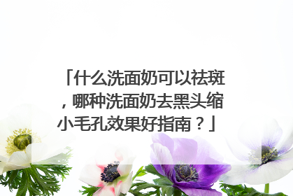 什么洗面奶可以祛斑，哪种洗面奶去黑头缩小毛孔效果好指南？