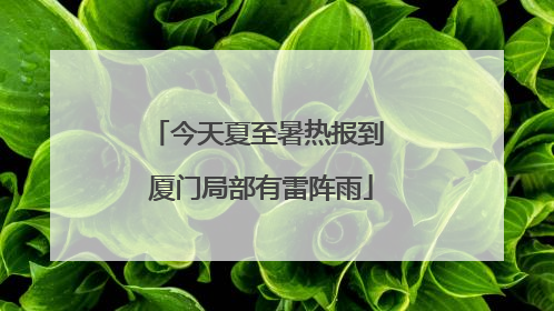 今天夏至暑热报到 厦门局部有雷阵雨