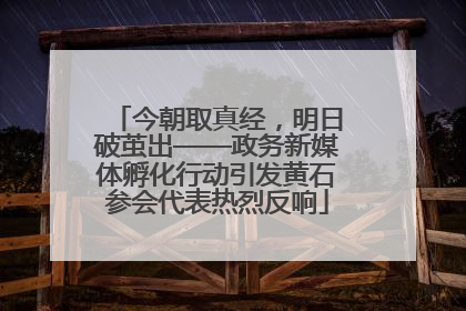 今朝取真经，明日破茧出——政务新媒体孵化行动引发黄石参会代表热烈反响