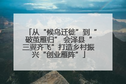 从“候鸟迁徙”到“破茧雁归” 会泽县“三翼齐飞”打造乡村振兴“创业雁阵”