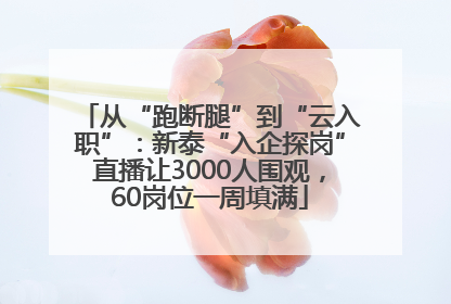 从“跑断腿”到“云入职”：新泰“入企探岗”直播让3000人围观，60岗位一周填满