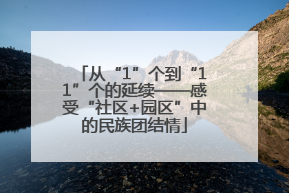 从“1”个到“11”个的延续——感受“社区+园区”中的民族团结情