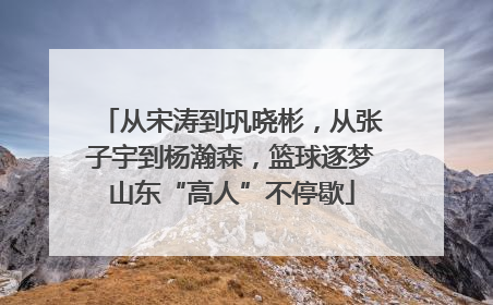从宋涛到巩晓彬，从张子宇到杨瀚森，篮球逐梦山东“高人”不停歇